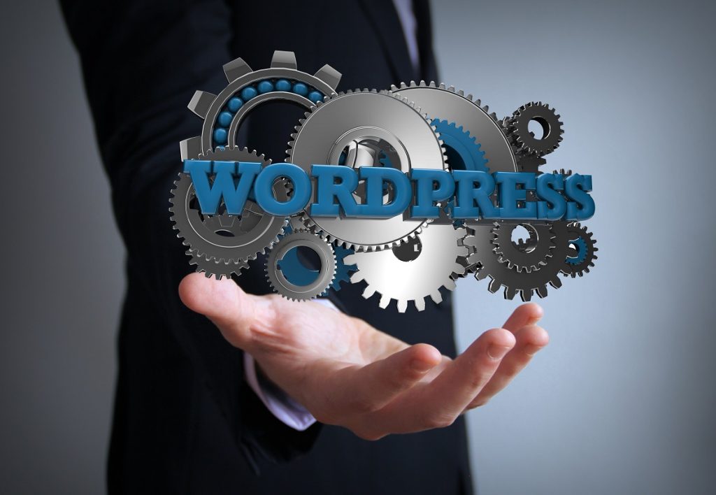 WordPress Development Service  